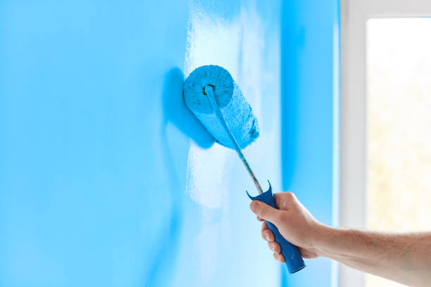 What Is Your Wall's New Eco Statement in Overland Park? Discover Green Painting Options.