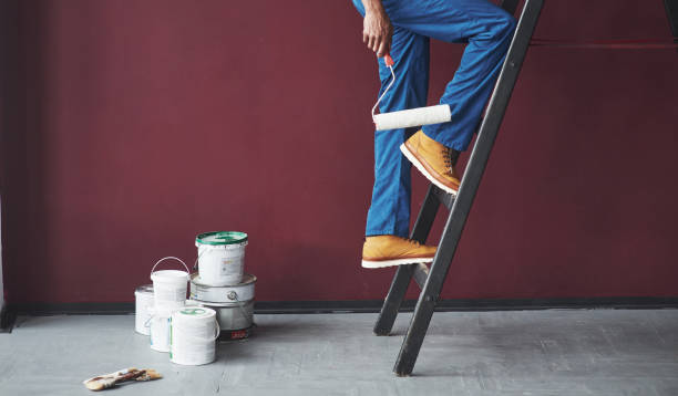 How to Choose Earth-Loving Paints for Your Overland Park Home Renovation