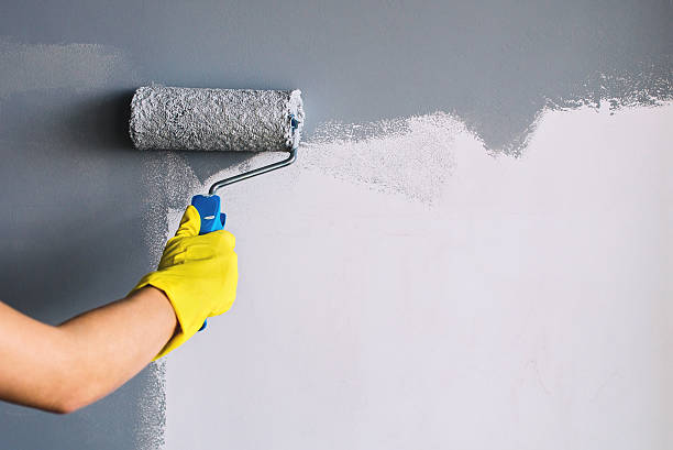 What Is Making Eco-Friendly Paint the Talk of Overland Park Neighborhoods?